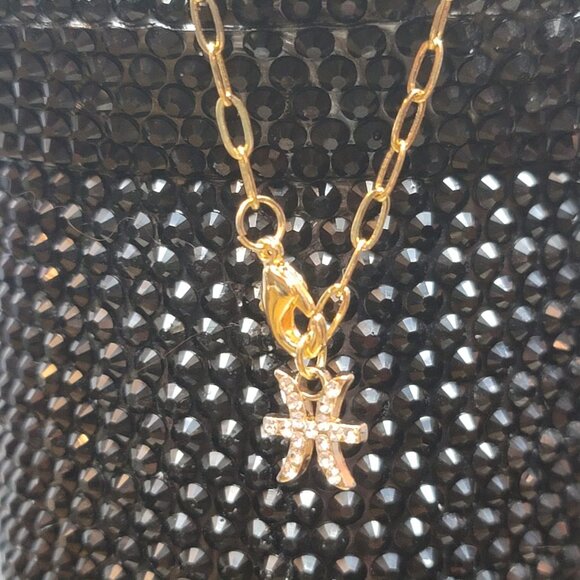 Pisces Zodiac Tumbler Charm - Picture 5 of 5